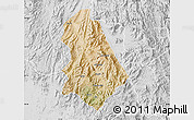 Satellite Map of Asmat, lighten, desaturated