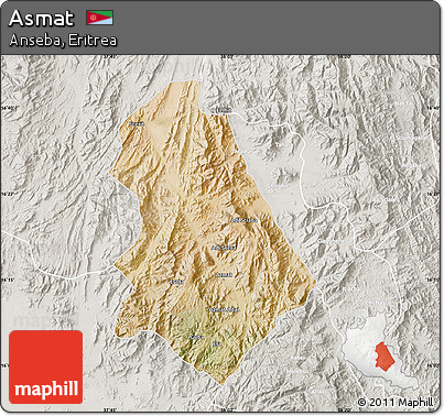 Satellite Map of Asmat, lighten, semi-desaturated