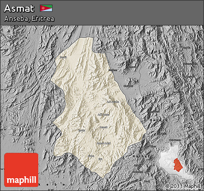 Shaded Relief Map of Asmat, darken, desaturated