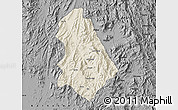 Shaded Relief Map of Asmat, darken, desaturated
