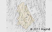 Shaded Relief Map of Asmat, lighten, desaturated