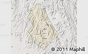 Shaded Relief Map of Asmat, lighten, semi-desaturated