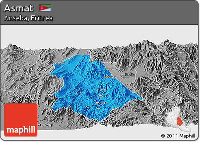 Political Panoramic Map of Asmat, desaturated