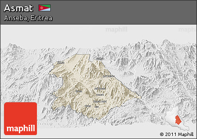 Shaded Relief Panoramic Map of Asmat, lighten, desaturated
