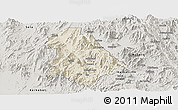 Shaded Relief Panoramic Map of Asmat, semi-desaturated