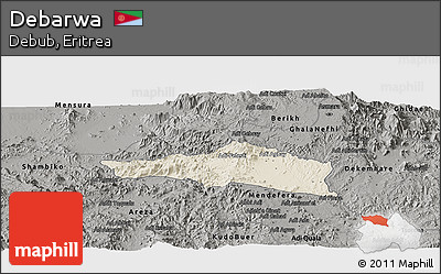Shaded Relief Panoramic Map of Debarwa, darken, semi-desaturated