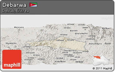 Shaded Relief Panoramic Map of Debarwa, semi-desaturated