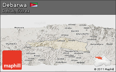 Shaded Relief Panoramic Map of Debarwa, semi-desaturated