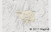 Shaded Relief Map of May Mine, lighten, semi-desaturated