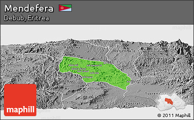 Political Panoramic Map of Mendefera, desaturated