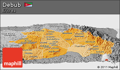 Political Shades Panoramic Map of Debub, desaturated
