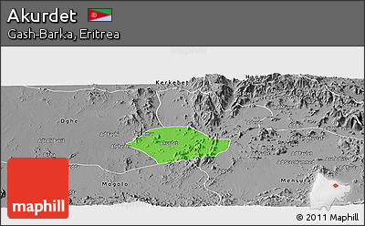 Political Panoramic Map of Akurdet, desaturated