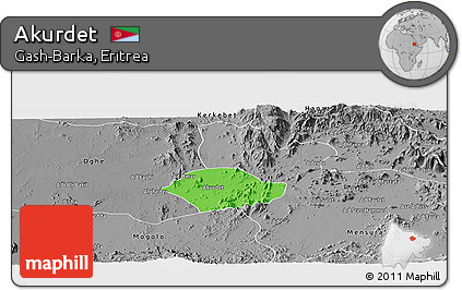 Political Panoramic Map of Akurdet, desaturated