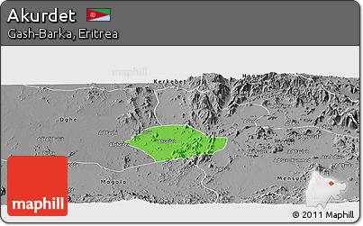 Political Panoramic Map of Akurdet, desaturated