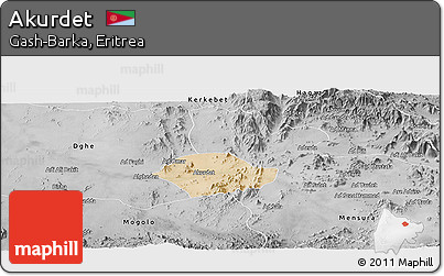 Satellite Panoramic Map of Akurdet, desaturated