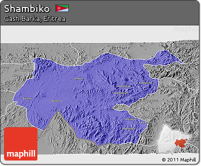 Political 3D Map of Shambiko, desaturated