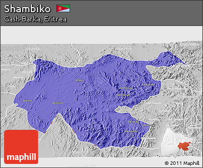 Political 3D Map of Shambiko, lighten, desaturated