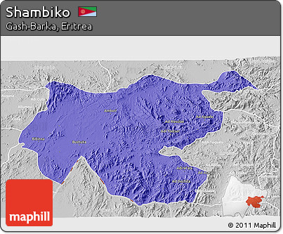 Political 3D Map of Shambiko, lighten, desaturated