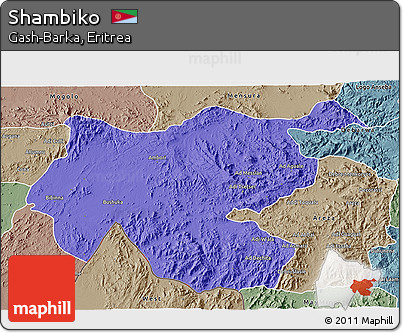 Political 3D Map of Shambiko, semi-desaturated