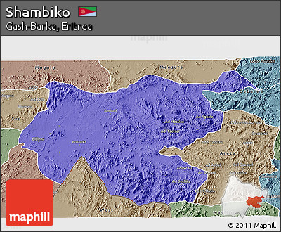 Political 3D Map of Shambiko, semi-desaturated