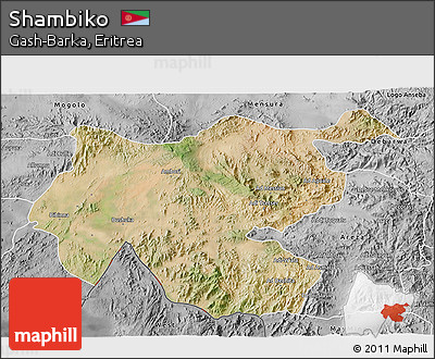 Satellite 3D Map of Shambiko, desaturated