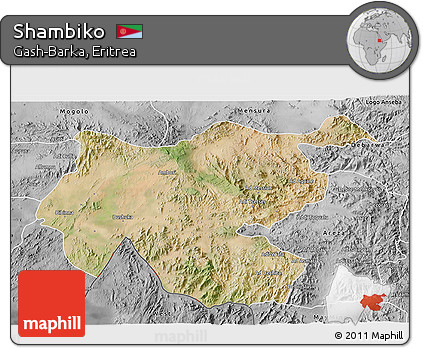 Satellite 3D Map of Shambiko, desaturated