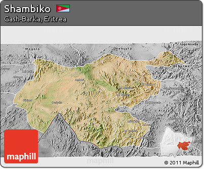 Satellite 3D Map of Shambiko, desaturated