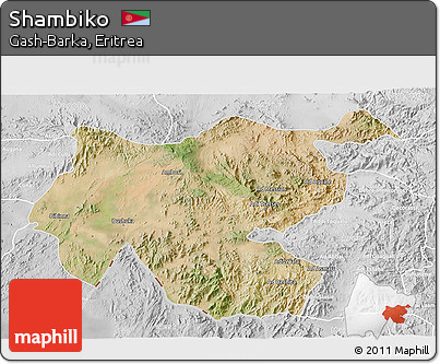 Satellite 3D Map of Shambiko, lighten, desaturated