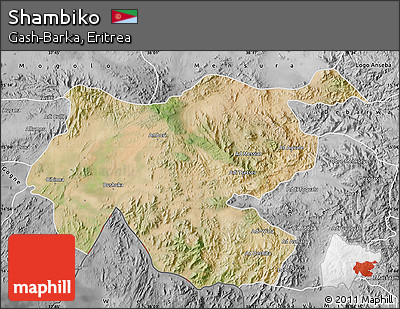Satellite Map of Shambiko, desaturated