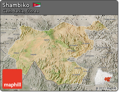 Satellite Map of Shambiko, semi-desaturated