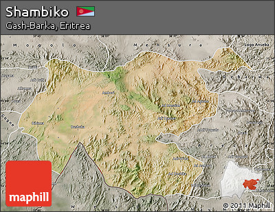 Satellite Map of Shambiko, semi-desaturated