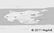 Gray Panoramic Map of Shambiko, single color outside