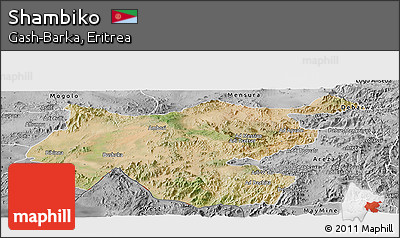 Satellite Panoramic Map of Shambiko, desaturated