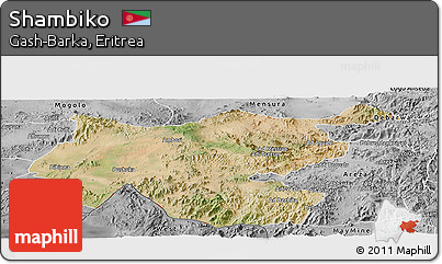Satellite Panoramic Map of Shambiko, desaturated