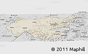 Shaded Relief Panoramic Map of Shambiko, desaturated