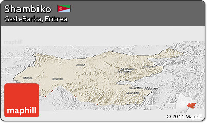 Shaded Relief Panoramic Map of Shambiko, lighten, desaturated