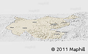 Shaded Relief Panoramic Map of Shambiko, lighten, desaturated