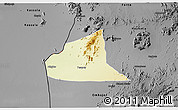 Physical 3D Map of Teseney, darken, desaturated