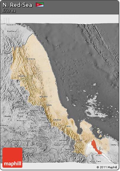 Satellite 3D Map of N. Red-Sea, desaturated