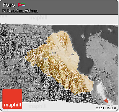 Satellite 3D Map of Foro, darken, desaturated