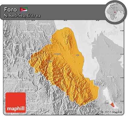 Political Map of Foro, lighten, desaturated