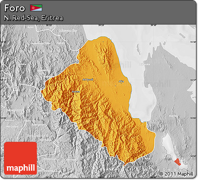 Political Map of Foro, lighten, desaturated