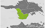 Physical 3D Map of Emmaste, desaturated