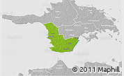 Physical 3D Map of Emmaste, lighten, desaturated