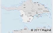 Silver Style 3D Map of Emmaste