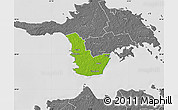 Physical Map of Emmaste, desaturated