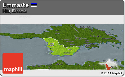 Physical Panoramic Map of Emmaste, darken