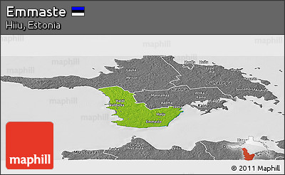 Physical Panoramic Map of Emmaste, desaturated
