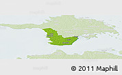 Physical Panoramic Map of Emmaste, lighten