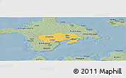 Savanna Style Panoramic Map of Käina